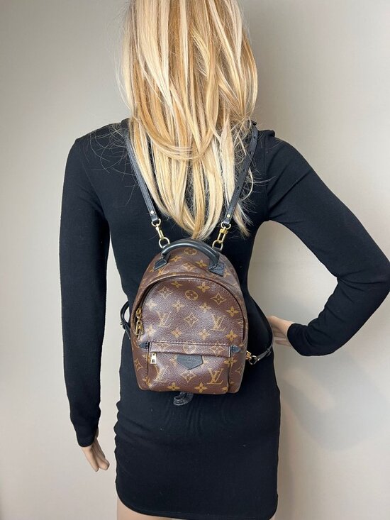 Louis Vuitton Palm Springs Mini Monogram Backpack Bag